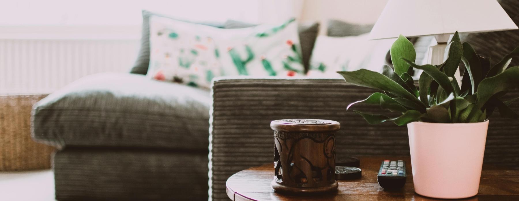 furnished living room with large window